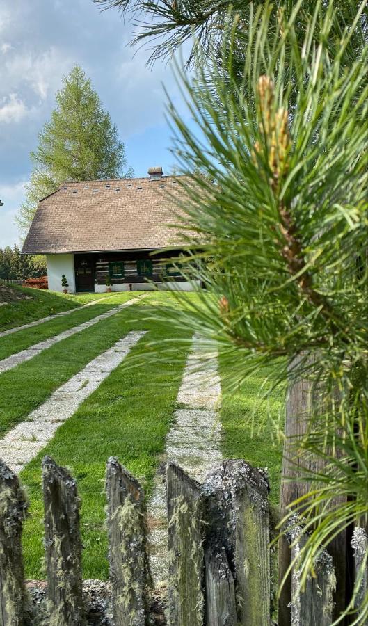 Ferienhaus Waldtraum Sankt Veit an der Glan Extérieur photo
